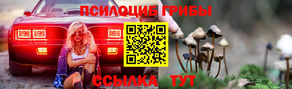 Галлюциногенные грибы GOLDEN TEACHER  Вход с VPN  Орехово-Зуево 